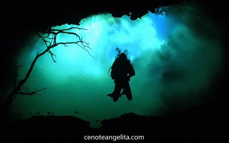 Buzo en silueta bajo la entrada de un cenote en la Riviera Maya