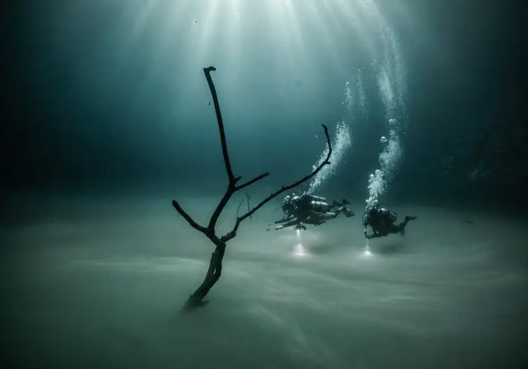 Buzos pasando por la nube y ramas bajo el agua en Cenote Angelita