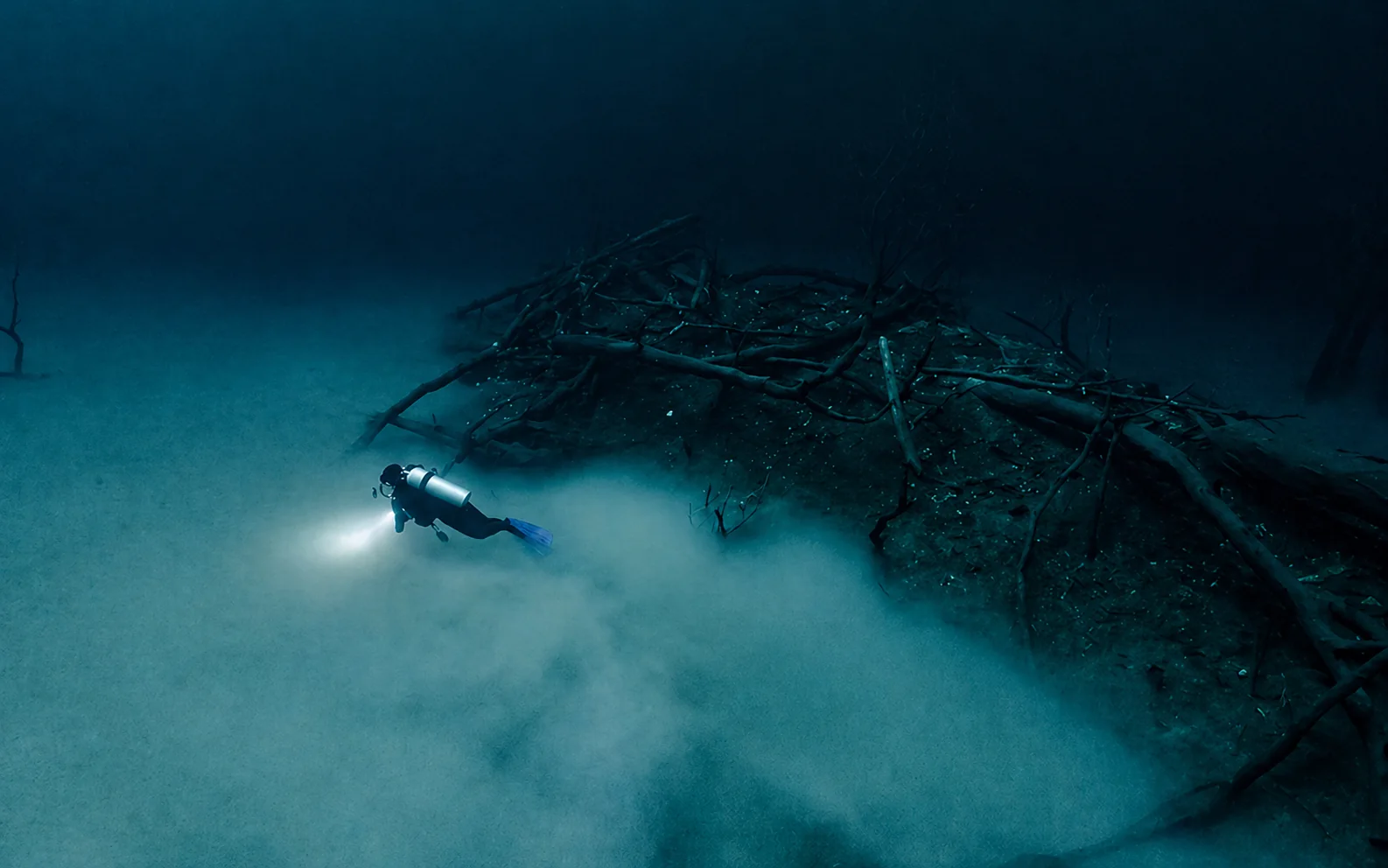 Fallen tree debris and cloud layer inside Cenote Angelita